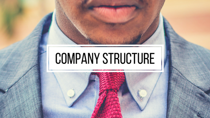 company structure